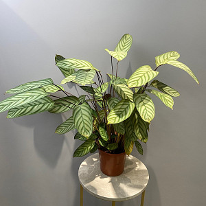 example_flower.png