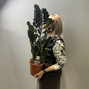 example_flower.png