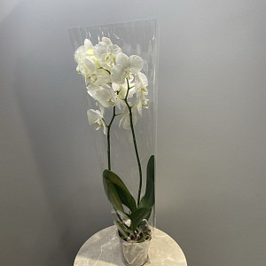 example_flower.png